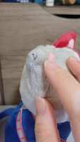 https://images.plurk.com/3IpBSow4WvzqBNeoVTmsam.jpg