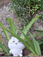 https://images.plurk.com/3IrU6sN8VMJiG92ZEeya2x.jpg