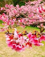 https://images.plurk.com/3It6tUip3eqkkKSNrLAxpb.jpg