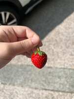 https://images.plurk.com/3ItV7ws7WIk7iSmHIGUmbZ.jpg