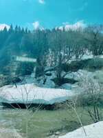 https://images.plurk.com/3J5Xryuuvpsc4iAA1RaBNJ.png