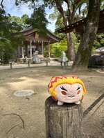 https://images.plurk.com/3J8jRdENLYIkJ63dNEYuA4.jpg