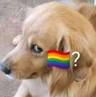 https://images.plurk.com/3JALZR1UXZzR2WXs1O8l3E.jpg