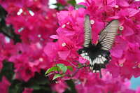 https://images.plurk.com/3JIWid9cJiA3tSmsghoMAr.jpg