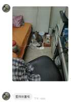 https://images.plurk.com/3JLNw1xLDC2eP5O5hwzs0D.png