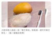 https://images.plurk.com/3JMD2AktMcHoNTahJ73Jxj.jpg