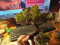 https://images.plurk.com/3JMG9BR4ATKxhsA5id0toB.jpg