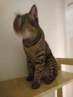 https://images.plurk.com/3JQIdKczck2QqqbthltIw1.jpg