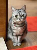 https://images.plurk.com/3Jg58WOVDppJg14DeSlSsA.jpg