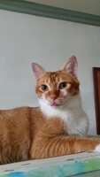 https://images.plurk.com/3JgFKOqWyydCUVPfaO1Mv0.jpg