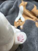 https://images.plurk.com/3JgigaWSX66zi1TdCsXhUj.jpg