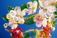 https://images.plurk.com/3Jlq4GlqhRutooiqK77RZi.jpg