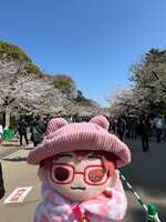 https://images.plurk.com/3JlvEriNQaBJHpRrokVgL5.jpg