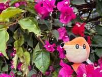 https://images.plurk.com/3JoI9zaTHNdnYKidC6U4Y2.jpg
