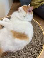 https://images.plurk.com/3Jz4fo5EeeaEYCxoW0pmj7.jpg