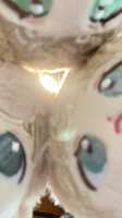 https://images.plurk.com/3Jz648dIPaWBSPPVAh29Wh.jpg