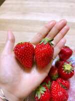 https://images.plurk.com/3K0M0O6e9nQMuv9S4zMn8Z.jpg