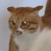 https://images.plurk.com/3K28vvfxIukYp82bfoOYKF.png