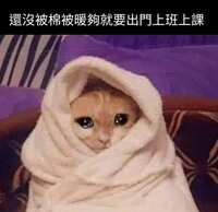 https://images.plurk.com/3K5iuP6v0lDcyalbwvSrjS.jpg