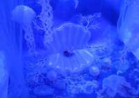 https://images.plurk.com/3K5pgeGz2zbSM595dnbjpN.jpg