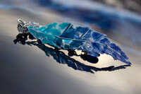 https://images.plurk.com/3KAQr1O0IM1ZLXGx33FTtJ.jpg
