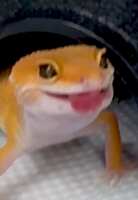 https://images.plurk.com/3KDgs9WlWprFVmQI8IUntK.jpg