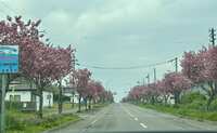 https://images.plurk.com/3KFUJqP9A0aOAHx4gQHMez.jpg
