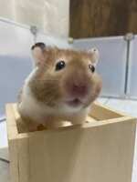 https://images.plurk.com/3Kb9Rz89YgaBwmNyZVpsqC.jpg