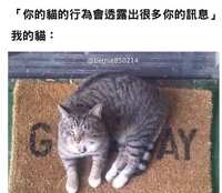 https://images.plurk.com/3KbosmzStvrSLN1G1qYy48.jpg