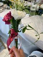 https://images.plurk.com/3Kc1IwL79ctcMJX095fNsu.jpg