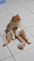 https://images.plurk.com/3KfH3WIXpIMT4rJfgghrqs.jpg