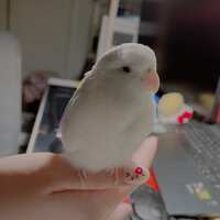 https://images.plurk.com/3Kkise2DbTSWfvTwdqdD1T.jpg