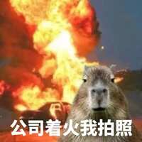 https://images.plurk.com/3KoYRlBBx3lAdPp5kLc5kr.png