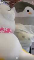 https://images.plurk.com/3KtYEJqkDMcxUkHgp2uOL3.png