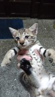 https://images.plurk.com/3L83oGP5MEKniyhGsqnWV.jpg