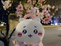 https://images.plurk.com/3LHlh0P1ixrybarsXcTyIo.jpg
