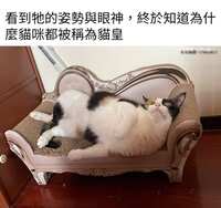 https://images.plurk.com/3LIbBCMLzNLxuy3ObYRlPJ.jpg