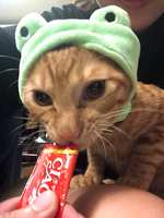 https://images.plurk.com/3LJPNyCgO7F28P3isK2QC2.jpg