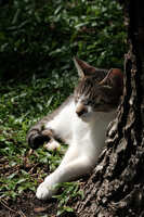 https://images.plurk.com/3LODDnv37BgUGZcwrCEw80.jpg