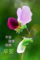 https://images.plurk.com/3LZAK0c1enlbAOqRNcD6hX.jpg