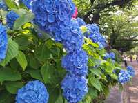 https://images.plurk.com/3LkEmIYo9ZhLRVwa8C8596.jpg