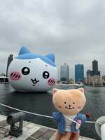 https://images.plurk.com/3Lr6f7Gk5PIaz78MbxwFCU.jpg