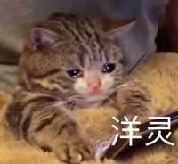 https://images.plurk.com/3LyzAvhdmzQAfqBfzG0KMd.jpg