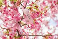 https://images.plurk.com/3LyzY7fISR1ccaSmvjY9qO.jpg