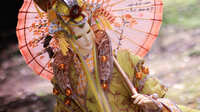 https://images.plurk.com/3M2Q9mz2S3qLL5RRzFN8ax.jpg