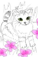 https://images.plurk.com/3M60y06FVoRufs7C3GSutl.png