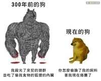 https://images.plurk.com/3M8BVzypXLPvHfeJbbXCEi.jpg