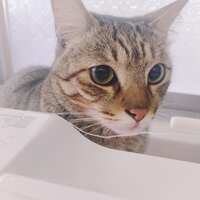 https://images.plurk.com/3MCeM3sXFftUF4NUz3EEIa.jpg
