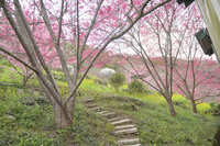 https://images.plurk.com/3MSWp8RTkXPX02jbjgQvbh.jpg
