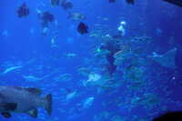 https://images.plurk.com/3MYxxsm7Or5yW5OYgsB0aj.jpg